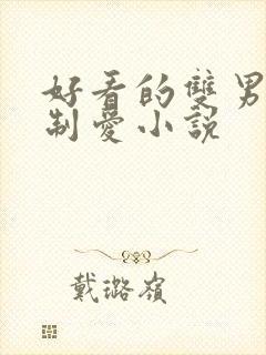 好看的双男主强制爱小说