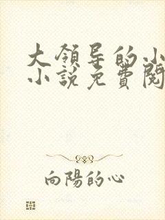 大领导的小妻子小说免费阅读