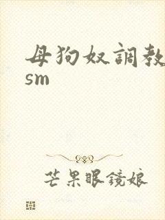 母狗奴调教虐玩sm