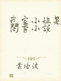 我家小姐是旧时闺秀小说