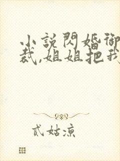 小说闪婚御姐总裁,姐姐把我宠上天封面