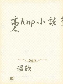 高hnp小说多人