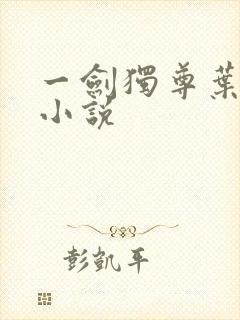 一剑独尊叶玄 小说