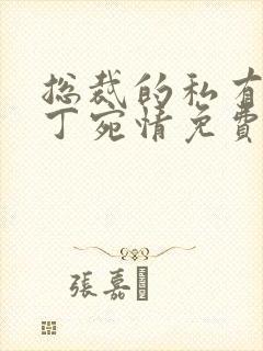 总裁的私有宝贝丁宛情免费阅读