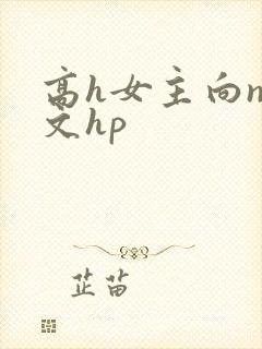 高h女主向np文hp封面