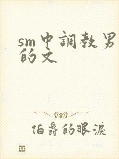 sm中调教男m的文