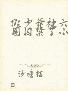 假少爷被六个哥团囚禁了小说