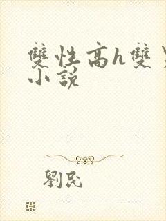 双性高h双男主小说