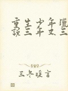 重生少年猎美小说三年又三年全文阅读