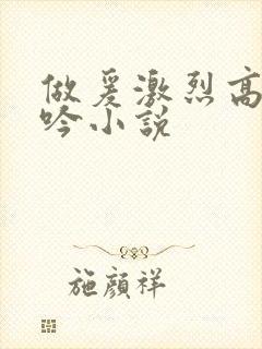 做爰激烈高潮呻吟小说封面