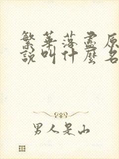 繁华落尽原著小说叫什么名字