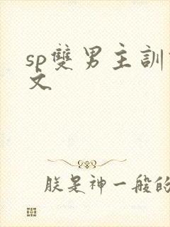 sp双男主训诫文封面