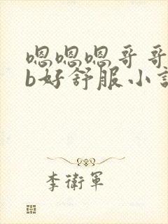 嗯嗯嗯哥哥插的b好舒服小说封面