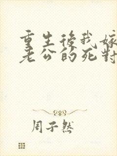 重生后我嫁给了老公的死对头 短剧