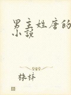 男主姓唐的总裁小说