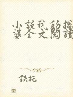 小说我的总裁老婆全文阅读