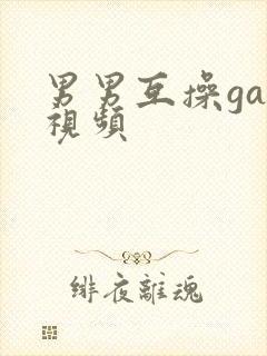 男男互操gay视频