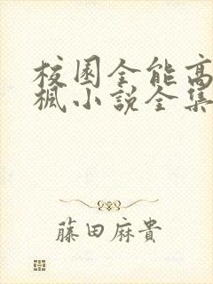 校园全能高手季枫小说全集txt