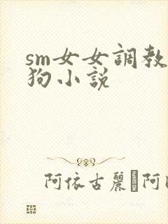 sm女女调教母狗小说封面