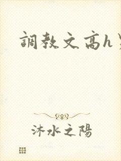调教文高h男男封面