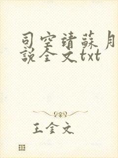 司空靖苏月汐小说全文txt