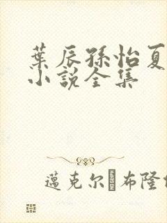 叶辰孙怡夏若雪小说全集