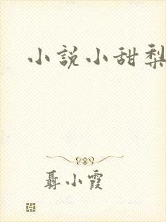 小说小甜梨,