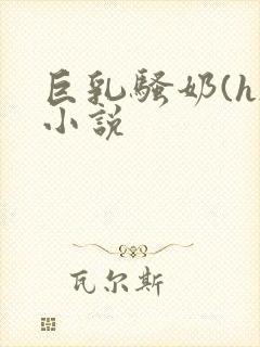 巨乳骚奶(h)小说封面