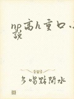 np高h重口小说