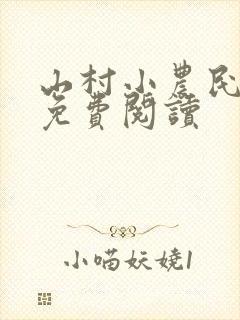 山村小农民全文免费阅读封面