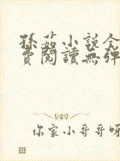 孙茹小说全文免费阅读无弹窗