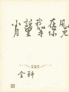 小说我在风花雪月里等你免费阅读