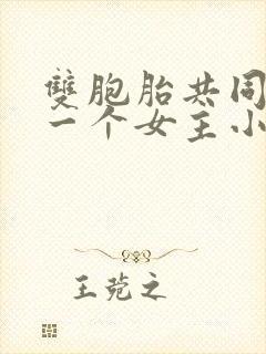 双胞胎共同享有一个女主小说