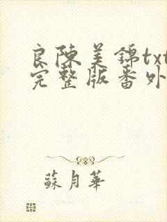 良陈美锦txt完整版番外