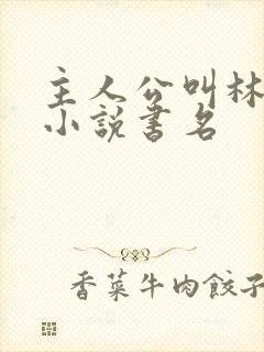 主人公叫林尘的小说书名