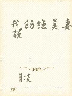 我的绝美妻子小说