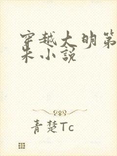 穿越大明第三子朱小说