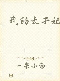 我的太子妃封面