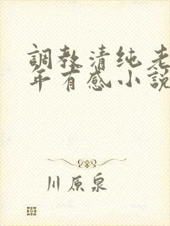 调教清纯老婆五年有感小说封面