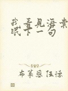 我看见海棠花未眠下一句