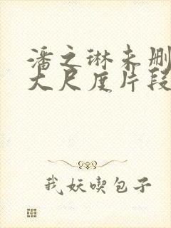 潘之琳未删减版大尺度片段流出