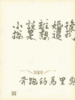 小说离婚后前夫总是想追我