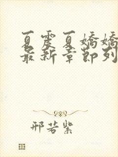 夏震夏娇娇小说最新章节列表封面