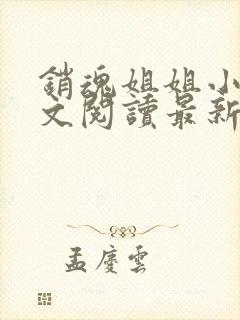 销魂姐姐小说全文阅读最新章节列表