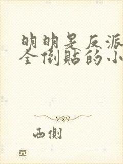 明明是反派女主全倒贴的小说