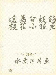 沧为公歧的清纯校花小说免费