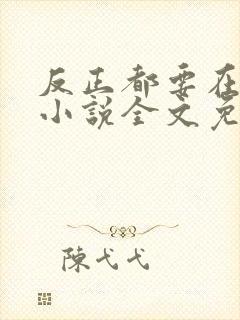 反正都要在一起小说全文免费阅读