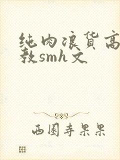 纯肉浪货高h调教smh文