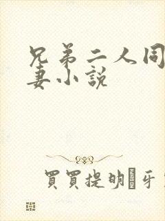 兄弟二人同娶一妻小说