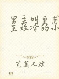 男主叫皇甫绝女主姓冷的小说